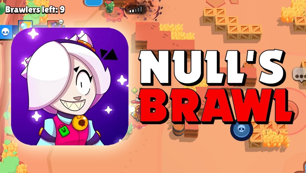 Null Brawl